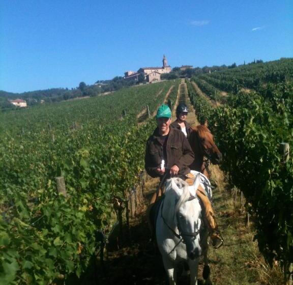 호텔 Centro Ippico Della Berardenga