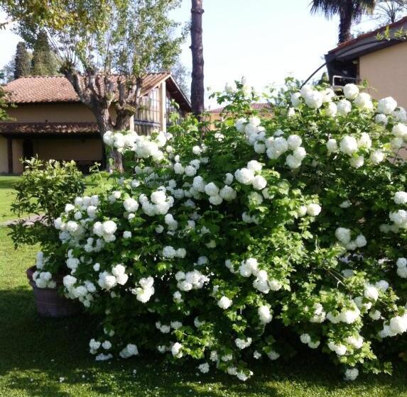 בית מלון כפרי Fattoria Di Migliarino