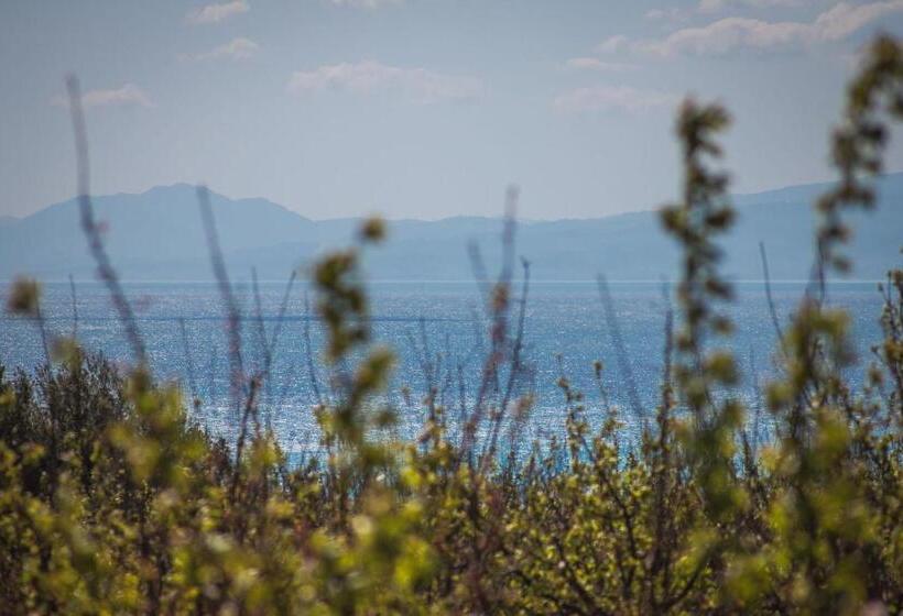 Отель Masseria Agriturismo Torre Di Albidona