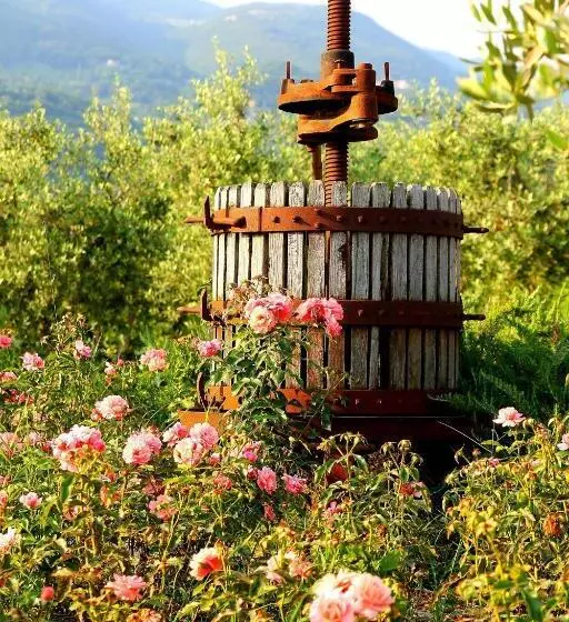 Hotelli Tenuta La Presa