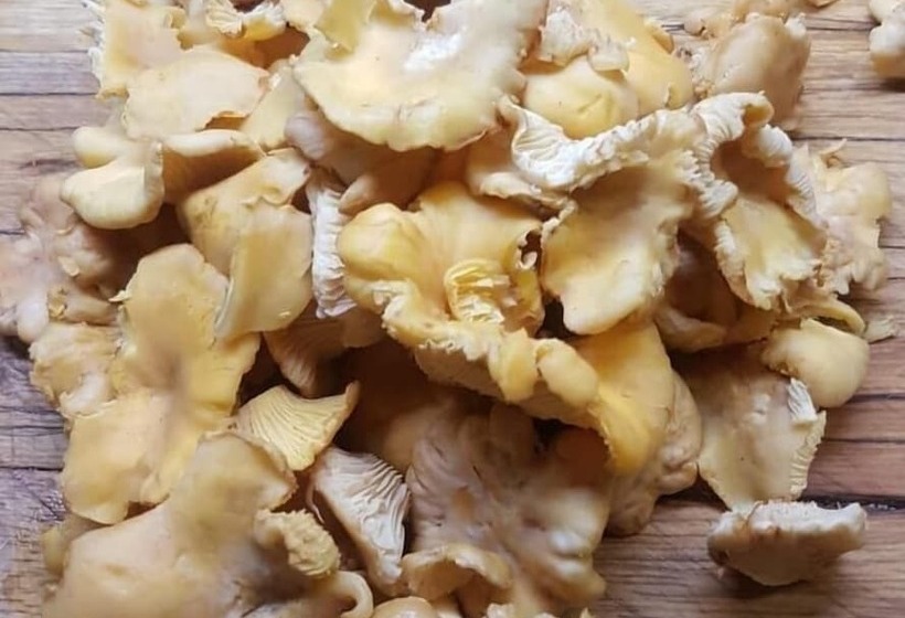 Locanda Del Principato