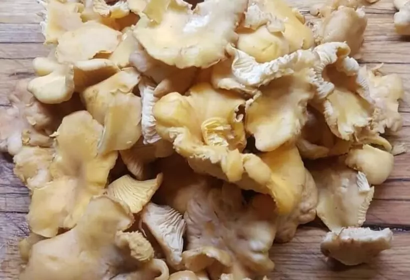 Locanda Del Principato