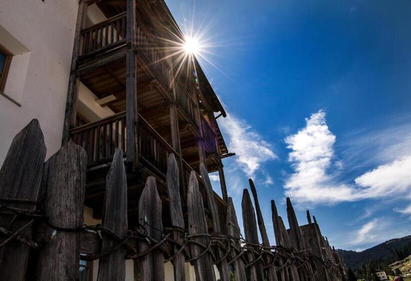 Nei Y Suredl Nevesole