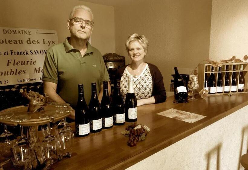 بنسيون Domaine Du Coteau Des Lys