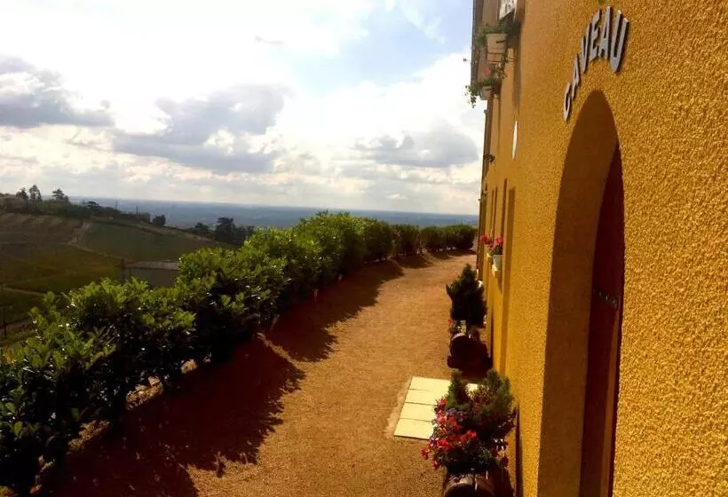 ペンション Domaine Du Coteau Des Lys