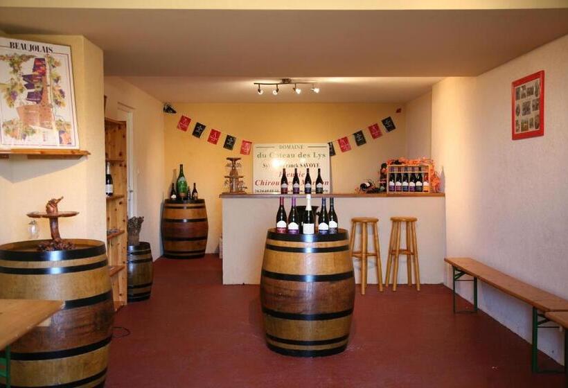 بنسيون Domaine Du Coteau Des Lys