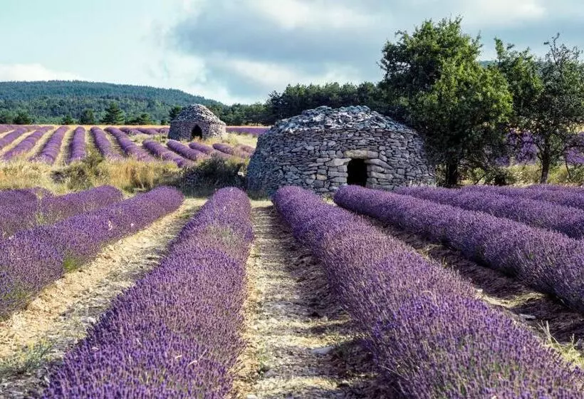ペンション La Bastide Des Bourguets Adults Only, Mont Ventoux