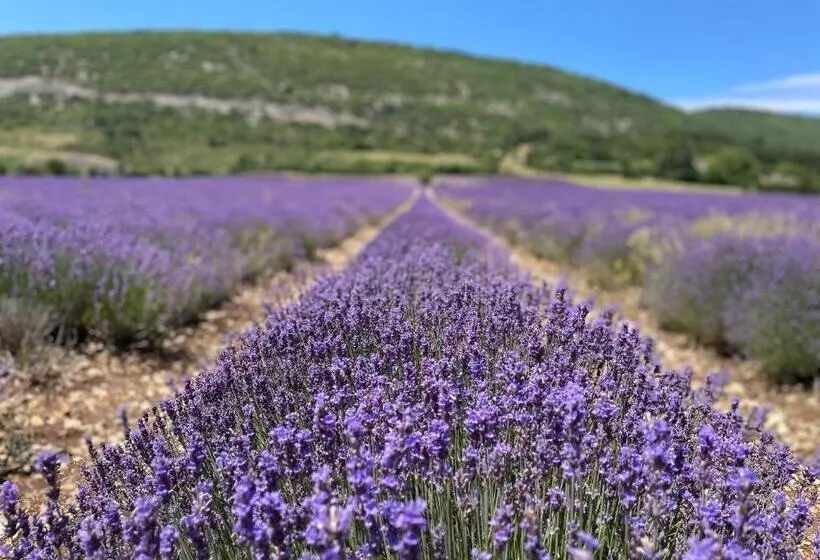 ペンション La Bastide Des Bourguets Adults Only, Mont Ventoux