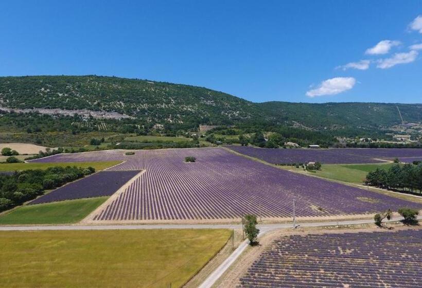 ペンション La Bastide Des Bourguets Adults Only, Mont Ventoux