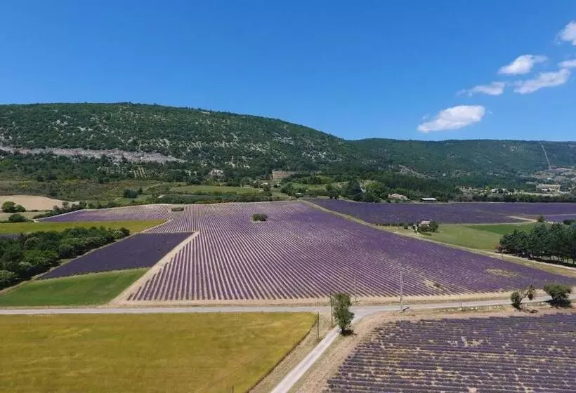 ペンション La Bastide Des Bourguets Adults Only, Mont Ventoux