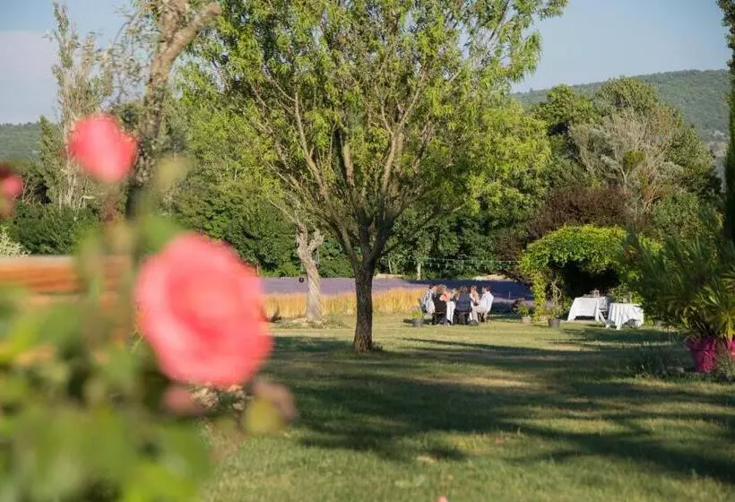 ペンション La Bastide Des Bourguets Adults Only, Mont Ventoux