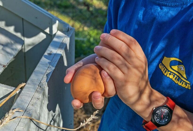 Bed and Breakfast Domaine De Rambeau