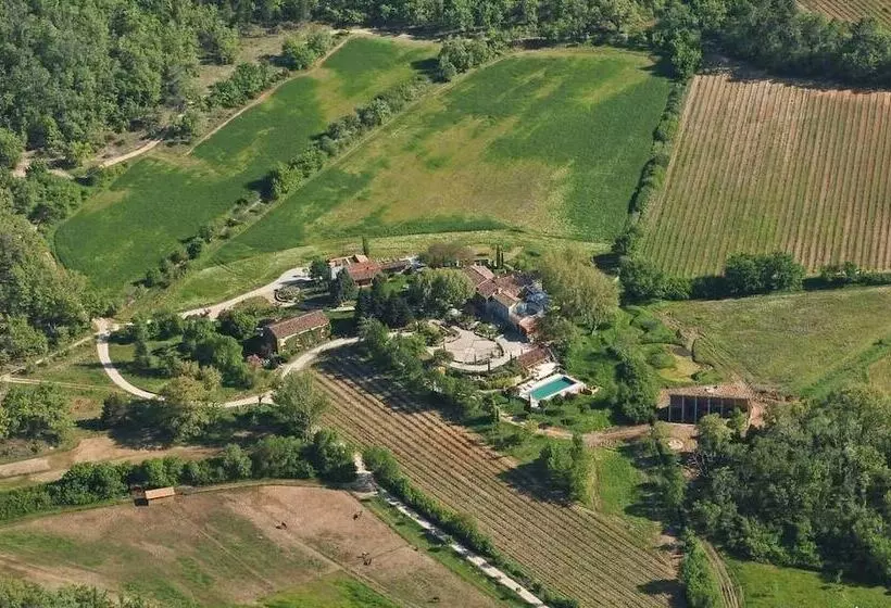Majatalo Une Campagne En Provence