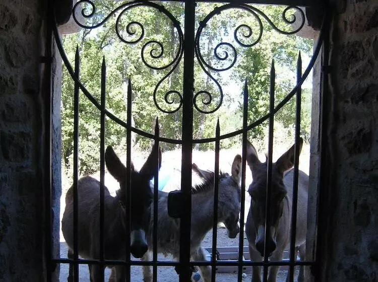 Majatalo Une Campagne En Provence