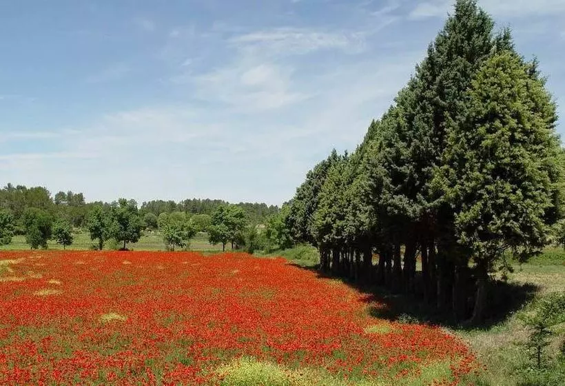 Majatalo Une Campagne En Provence
