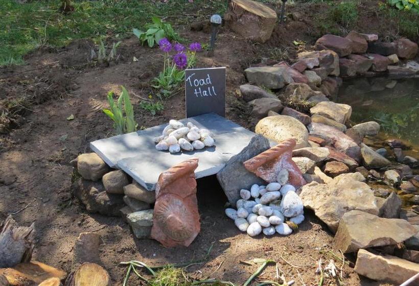 بنسيون Monamore Guest House