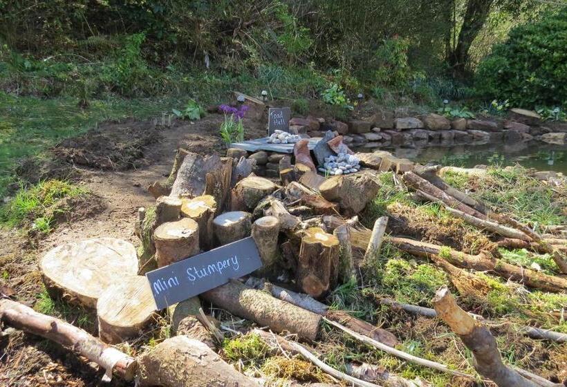 بنسيون Monamore Guest House