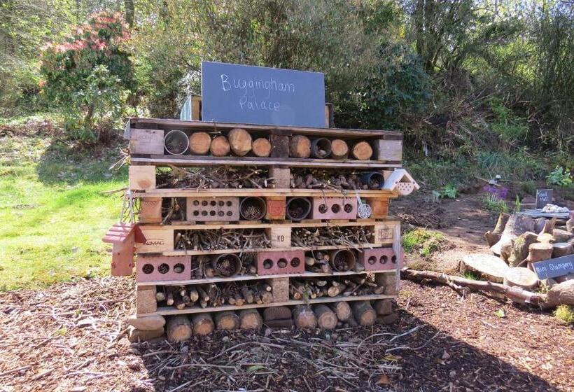 بنسيون Monamore Guest House