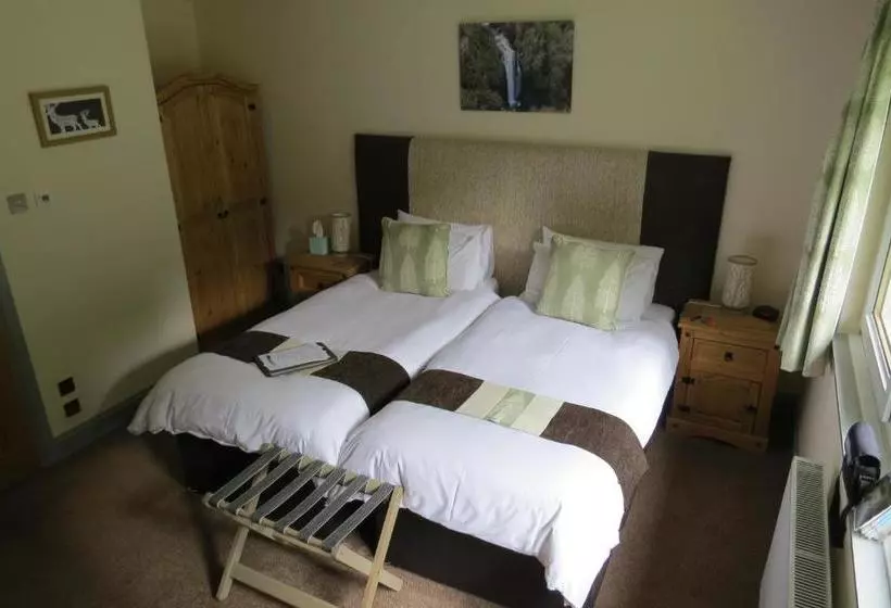 پانسیون Monamore Guest House