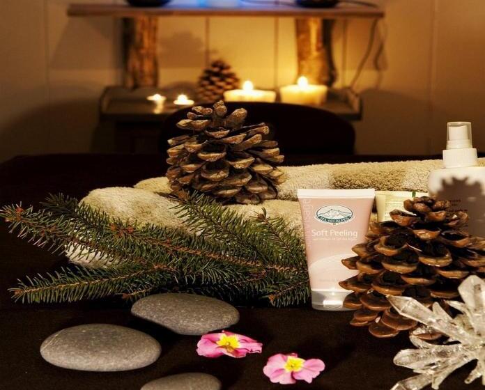 Residence Hôtelière La Renardiere