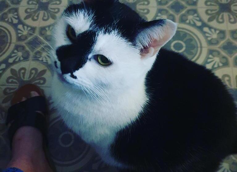 Pensione Rigsbys Guesthouse Doncaster