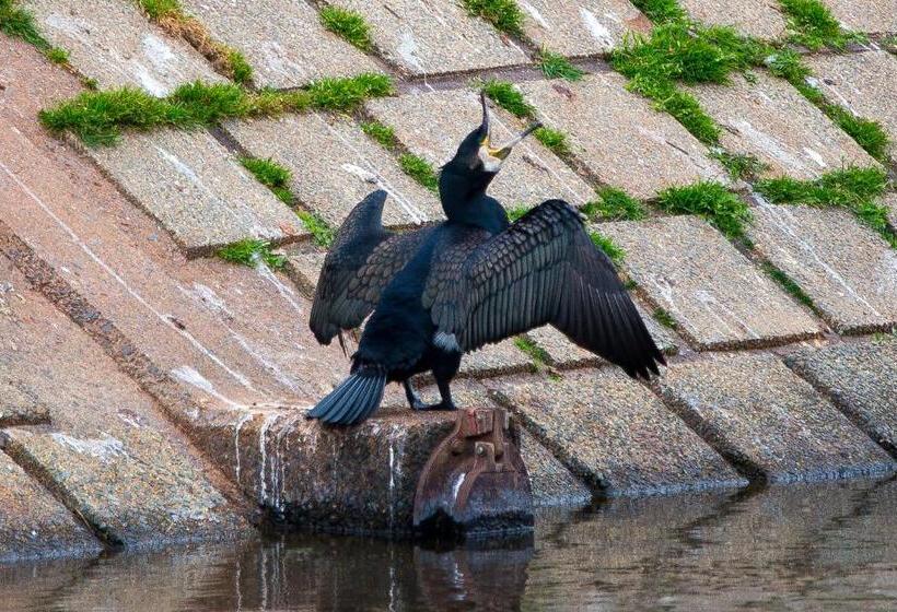 Pensão Bridge Guest House