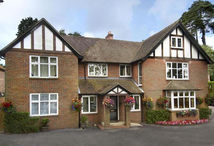 بنسيون The Pilgrim S Guest House