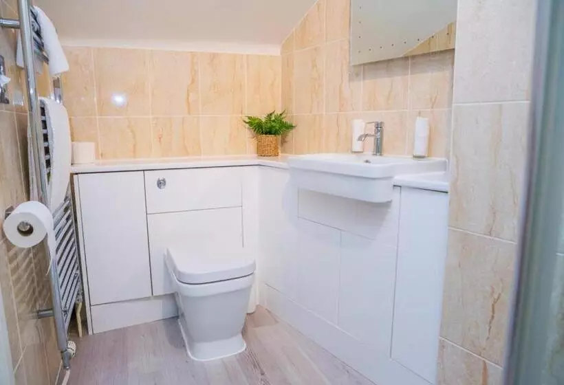 هاستل The Black Swan Inn