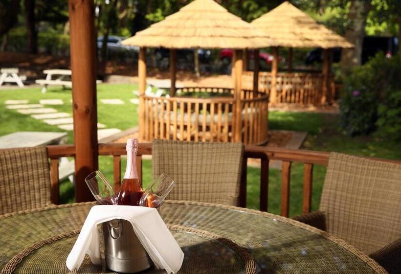 Schronisko The Canford