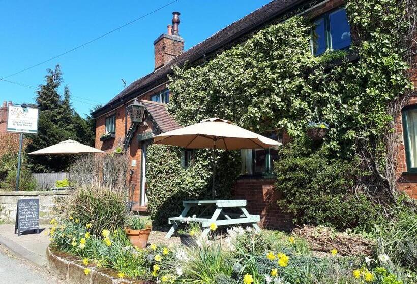 ペンション Olive Tree Guest House