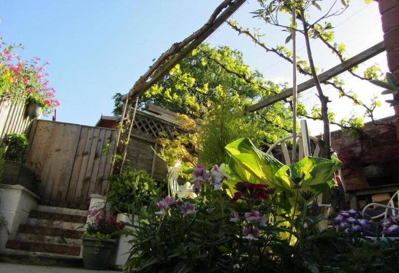 פנסיון Treetops Guest House