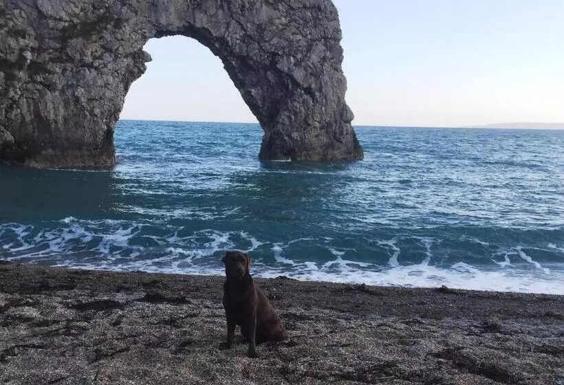 هاستل New Inn   Dorchester