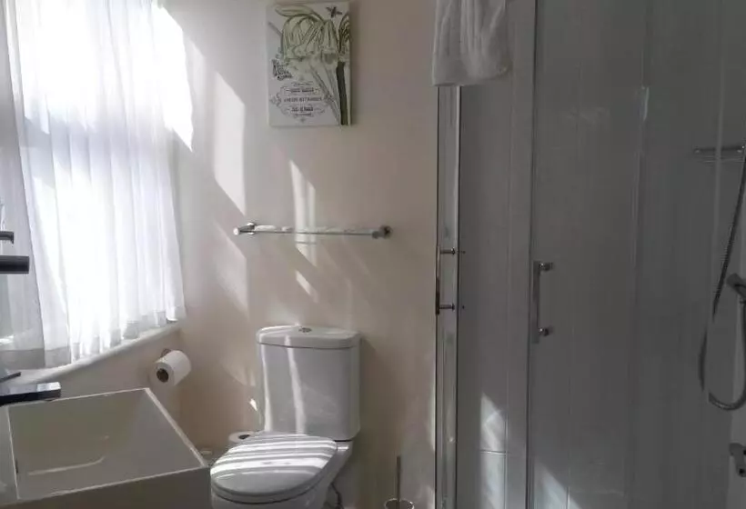 هاستل The Swan Inn