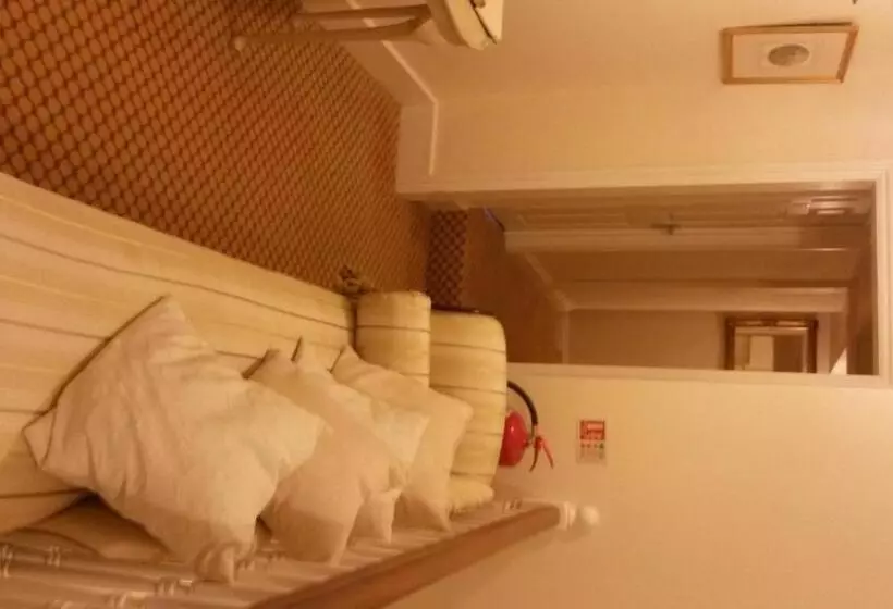 هاستل The Swan Inn