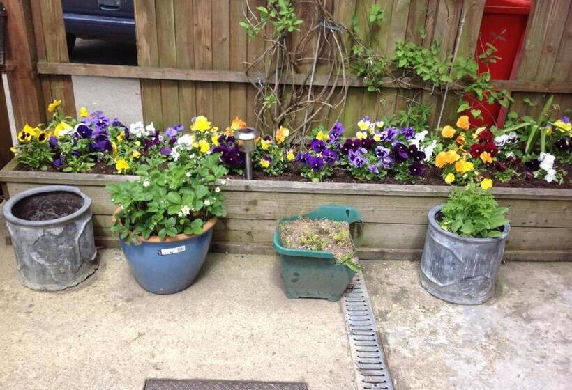 Ostello The Swan Inn