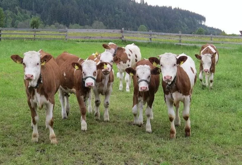 Hotelli Gästehaus Bauernhof Buchwieser