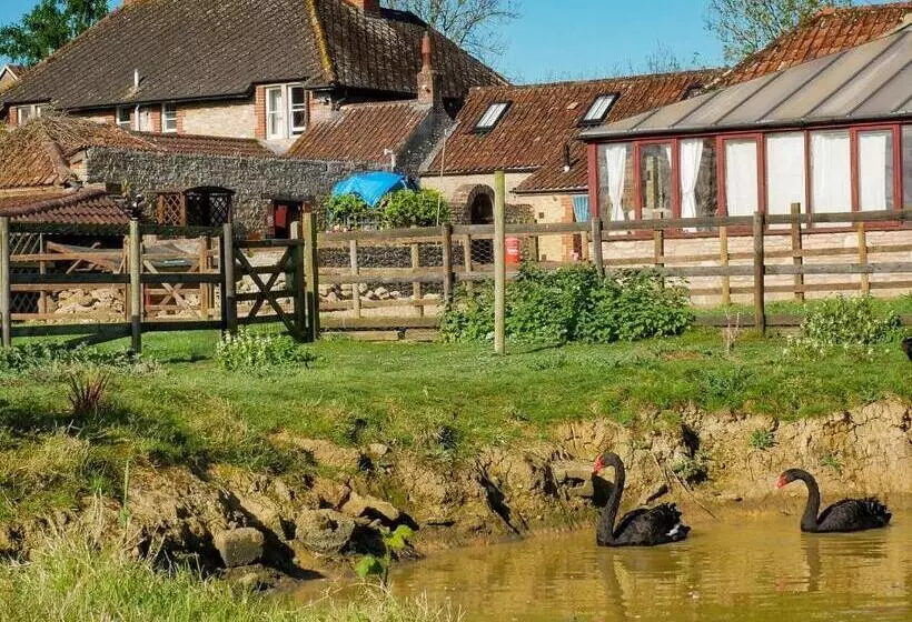 پانسیون Knoll Hill Farm, The Place To Stay