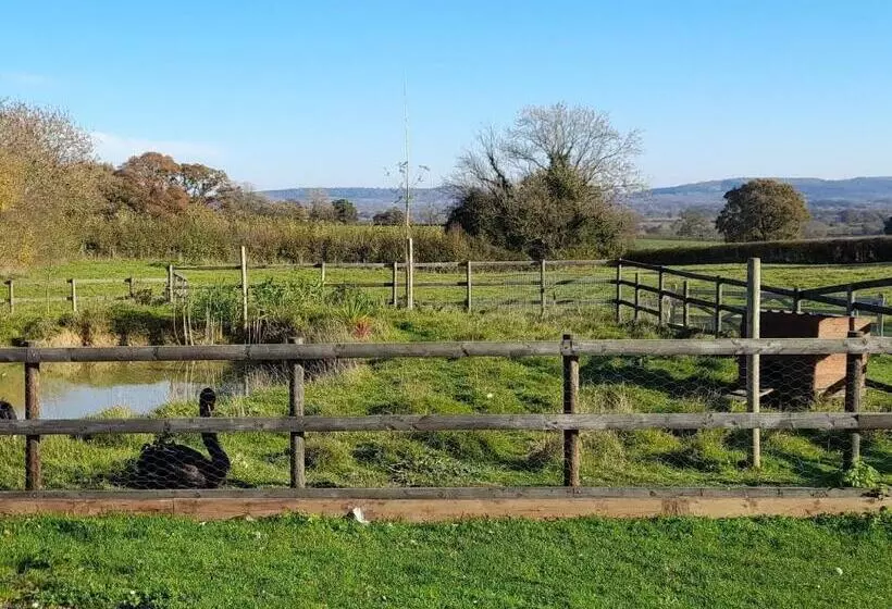 پانسیون Knoll Hill Farm, The Place To Stay