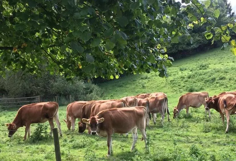 پانسیون Worralls Grove Guest Farm House