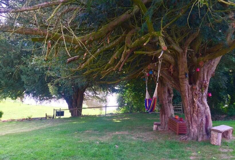 פנסיון Worralls Grove Guest Farm House