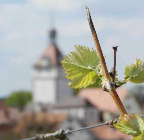Hospedaria Gästehaus Am Westtor