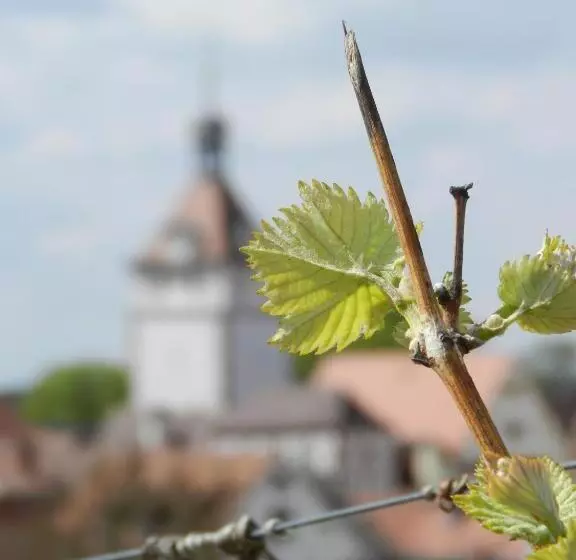 Retkeilymaja Gästehaus Am Westtor