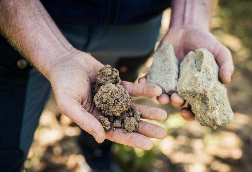 Schronisko Weingut Und Gästehaus Apel