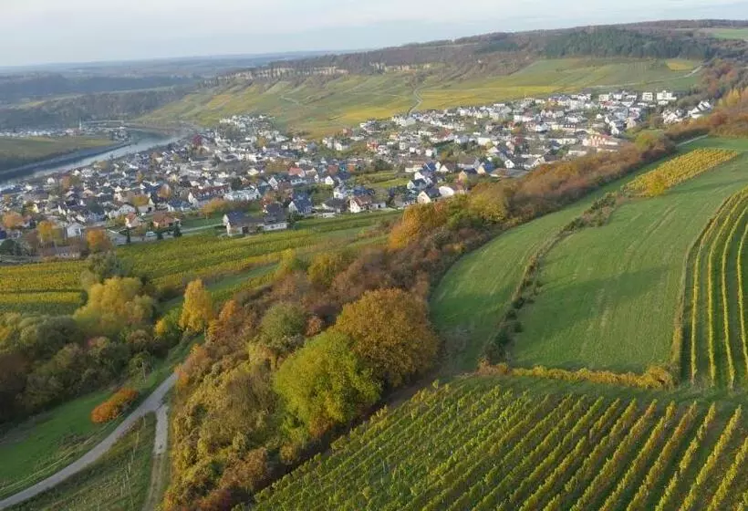 ユースホステル Weingut Und Gästehaus Apel