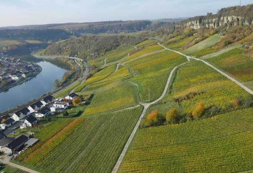 ユースホステル Weingut Und Gästehaus Apel