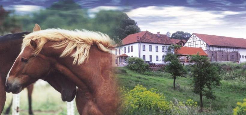 ペンション Gefildehof Göpel