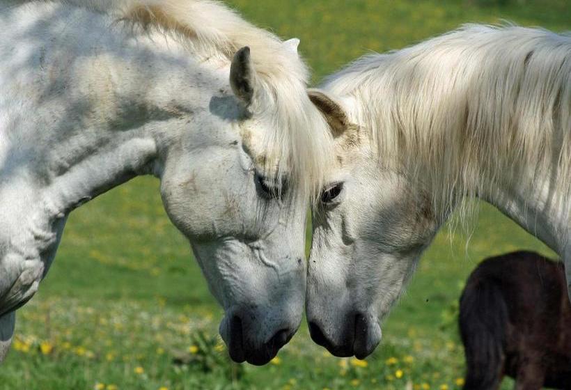 ペンション Gefildehof Göpel