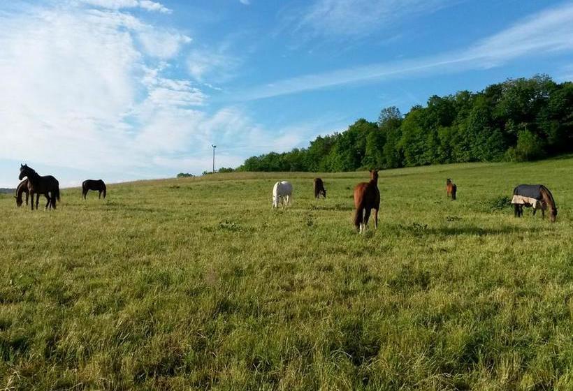 ペンション Gefildehof Göpel