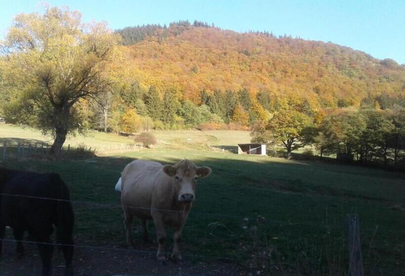 Pension Haus Zur Orke