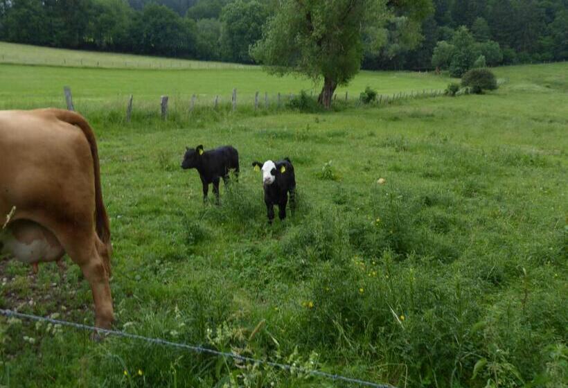 Pension Haus Zur Orke